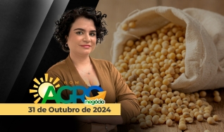Bom dia Agronegócio