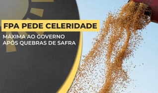 Arnaldo Jardim - Vice-presidente da FPA