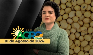 Bom dia Agro