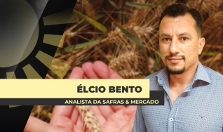 Élcio Bento - Analista da Safras & Mercado