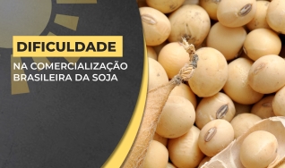 Antônio Galvan - Presidente da Aprosoja Brasil