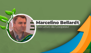 Marcelino Bellardt