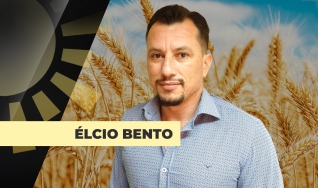 Élcio Bento - Analista da Safras & Mercado