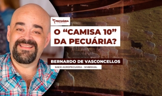 Bernardo de Vasconcellos - Saexi Agropecuária - Simbrasil