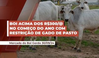 Carlito Guimarães - Pecuarista na Região de São José do Xingu/MT