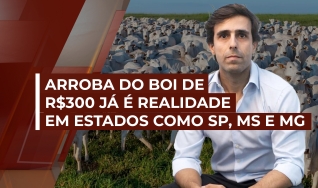 Gustavo Figueiredo - Sócio da Radar Investimentos