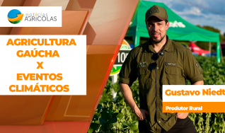 Gustavo Niedt - Produtor Rural