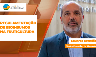 Eduardo Brandão - Diretor Executivo da Abrafrutas