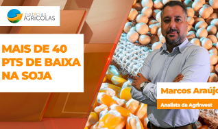 Marcos Araújo - Analista da Agrinvest