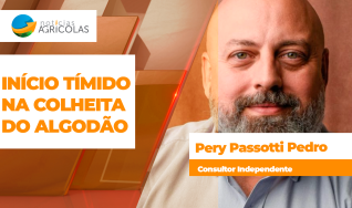 Pery Passotti Pedro - Consultor Independente