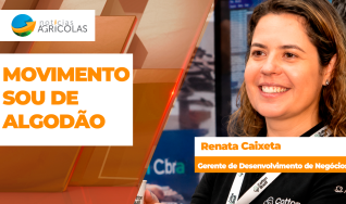 Renata Caixeta - Gerente de Desenvolvimento de Negócios