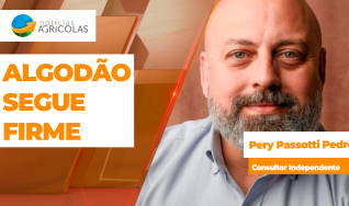 Pery Passotti Pedro - Consultor Independente
