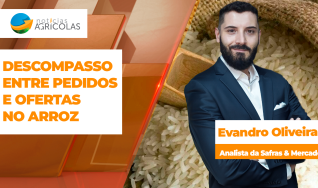 Evandro Oliveira - Analista da Safras & Mercado