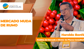 Haroldo Bonfá - Analista de Mercado e Diretor da Pharos Consultoria