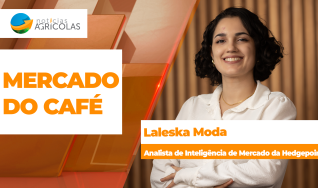 Laleska Moda - Analista de Inteligência de Mercado da Hedgepoint
