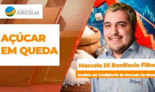 Marcelo Di Bonifacio Filho - Analista em Inteligência de Mercado da StoneX