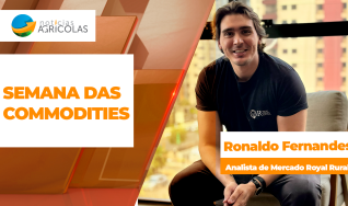 Ronaldo Fernandes - Analista de Mercado Royal Rural