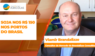 Vlamir Brandalizze - Consultor de Mercado da Brandalizze Consulting