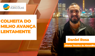 Daniel Rosa - Diretor Técnico da Abramilho