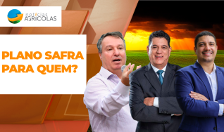 Redação - Notícias Agrícolas
