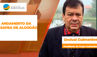 Orcival Guimarães - CEO do Grupo Guimarães