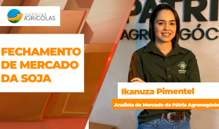 Ikanuza Pimentel - Analista de Mercado da Pátria Agronegócios
