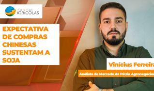 Vinícius Ferreira - Analista de Mercado da Pátria Agronegócios