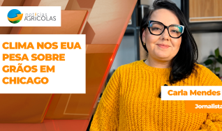 Carla Mendes - Jornalista
