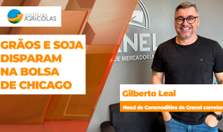 Gilberto Leal - Head de Commodities da Granel corretora