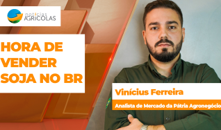 Vinícius Ferreira - Analista de Mercado da Pátria Agronegócios