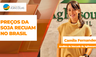 Camila Fernandes - Analista de Mercado da AgResource