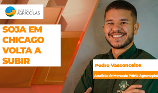 Pedro Vasconcelos - Analista de Mercado Pátria Agronegócios