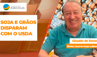 Ginaldo de Sousa - Diretor Geral do Grupo Labhoro