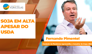 Fernando Pimentel - Fundador da Plataforma Agrometrika e Consultor do Grupo Aliare