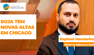 Raphael Mandarino - Diretor da AgResource Brasil