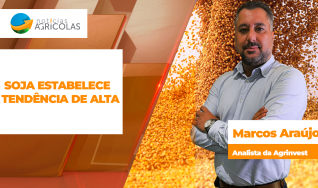 Marcos Araújo - Analista da Agrinvest