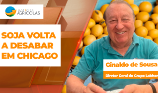 Ginaldo de Sousa - Diretor Geral do Grupo Labhoro