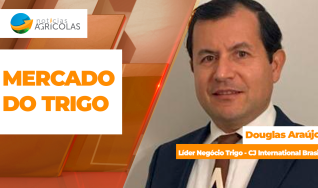 Douglas Araújo - Líder Negócio Trigo - CJ International Brasil.