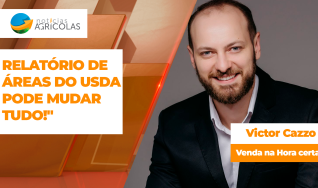 Analisando Sua Comercialização - com Victor Cazzo