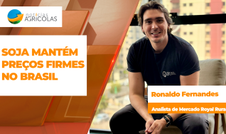 Ronaldo Fernandes - Analista Royal Rural