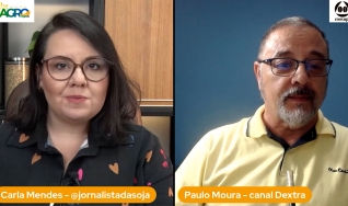 Paulo Moura - Cientista Político do canal Dextra