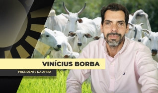 Dr. Vinícius Borba Advogado