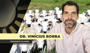 Dr. Vinícius Borba Advogado