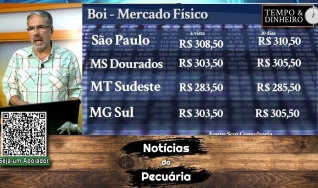 Boi gordo escasso abre semana com alta em 23 praças