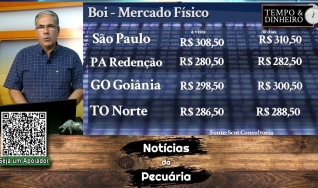 Boi gordo tem nova alta enquanto na B3 fevereiro bate R$330@. China volta ao radar.