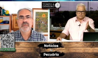 Boi gordo dispara para R$300@ com escalas curtas. Pecuarista vende aos poucos.