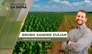 Bruno Sander Zulian - Gerente Técnico da Gtec Agro