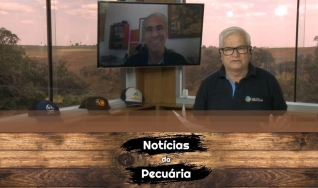 Tempo  & Dinheiro - Notícias da Pecuária, com Sérgio Braga