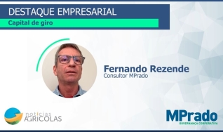 Fernando Rezende - Consultor MPrado