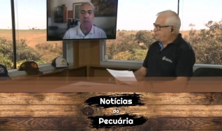 Tempo  & Dinheiro - Notícias da Pecuária, com Sérgio Braga